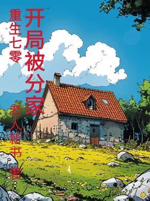 开局被分家 老人新书