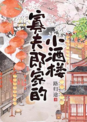 穿越重生之寡夫郎
