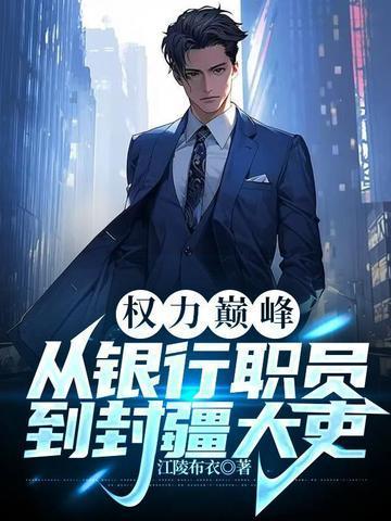 权力巅峰从银行职员到封疆大吏原文