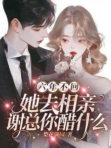 六年了