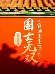 国士无双官场重生1976无弹窗手机版馅饼大叔