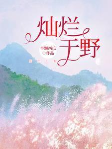 灿烂于野最后结局