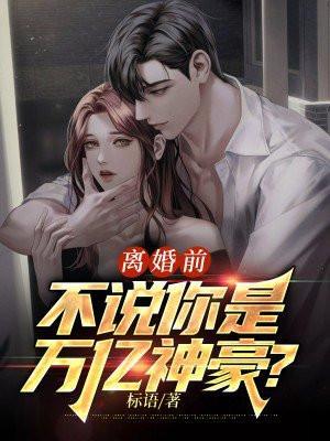 离婚之前免费阅读