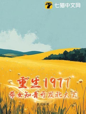 重生之七十年代知青的