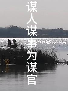 谋人谋事谋局