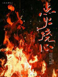 点火烧心全文阅读无弹窗最新章节更新时间