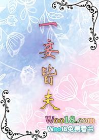 一妾皆夫阅读