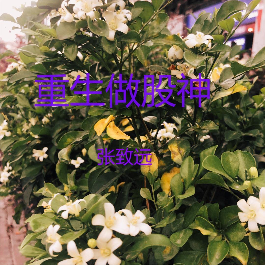 重生之金融巨擘