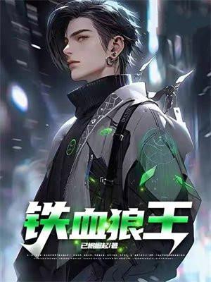 铁血狼啸电视剧演员表