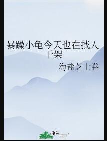脾气暴躁的乌龟