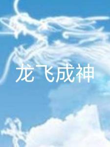 什么主角叫龙飞
