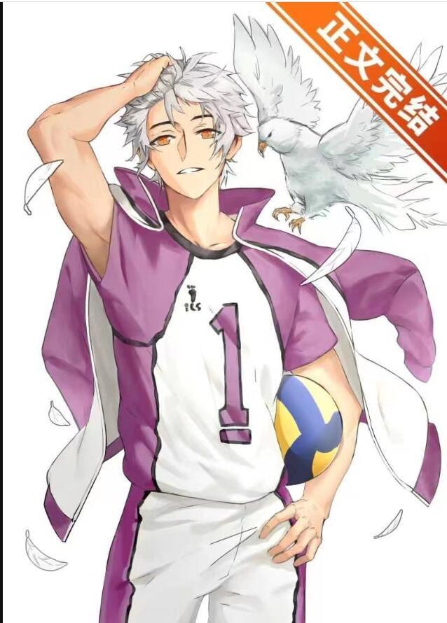 排球 setter