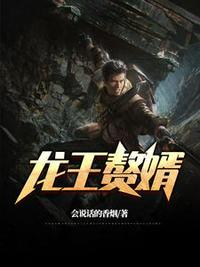 最豪赘婿什么时候开写的