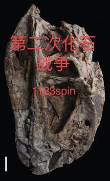 第二次化石战争结局是什么