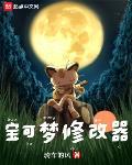 宝可梦修改工具