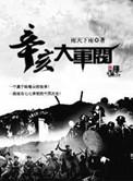 辛亥大军阀无弹窗
