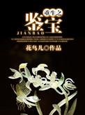 重生之鉴宝灵眸轻沙墨舞免费阅读