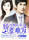 闪婚后爱强宠冷漠小娇妻