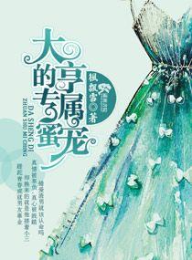 大亨的专享空姐