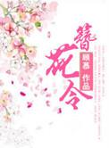 簪花令短剧免费观看全集