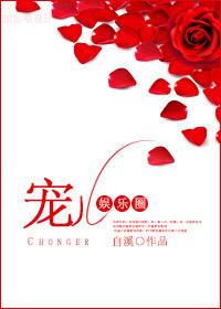 宠儿全文免费