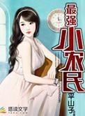 最强小农民电子书