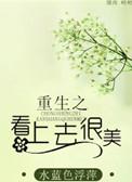 看上去很美序言