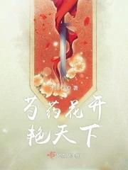 芍药花开放