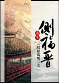 重生之侧福晋