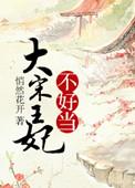穿越之大宋皇妃