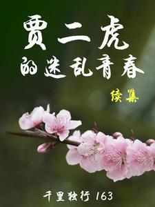 贾二虎全集阅读