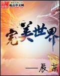 完美世界全文免费阅读