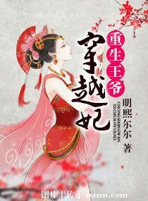 重生之王爷穿越妃