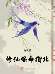 修仙保命指北小硕