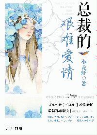 总裁的爱情故事